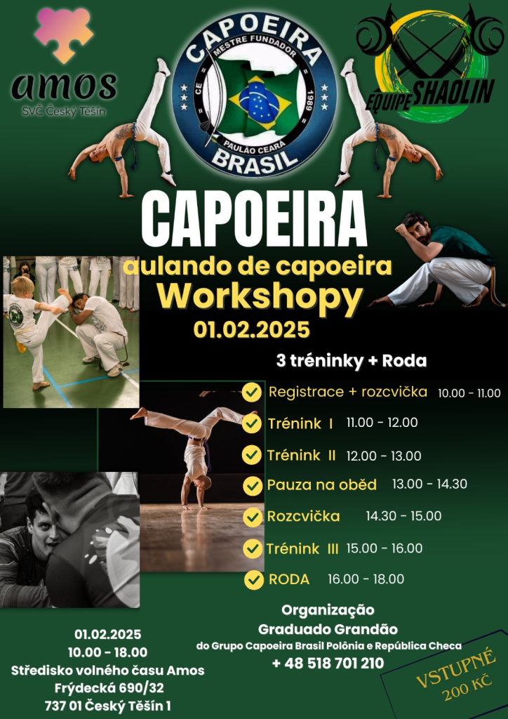 Workshop Capoeiry