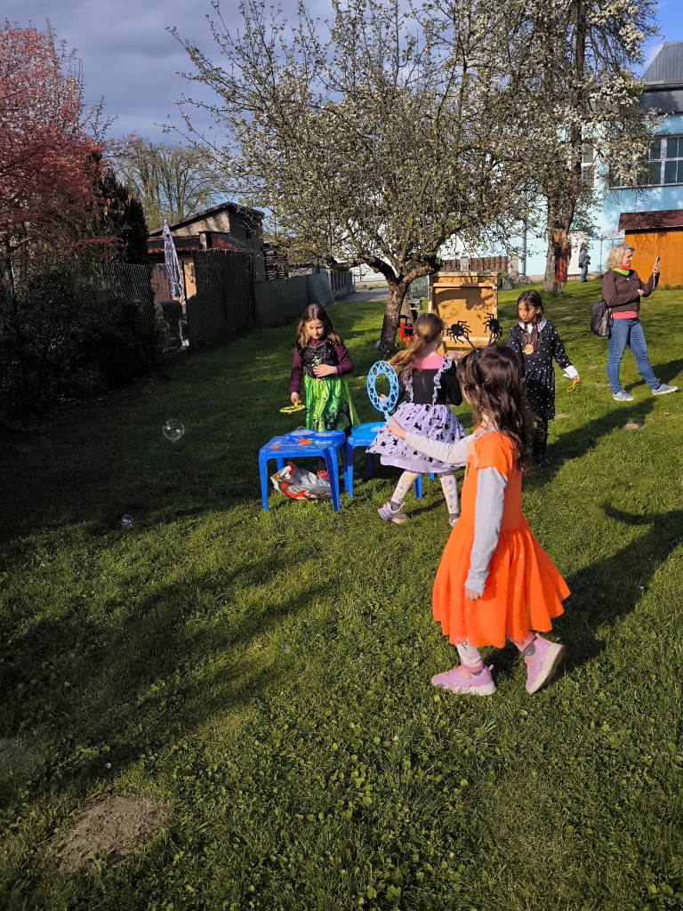 IMG_20260424_172117.jpg