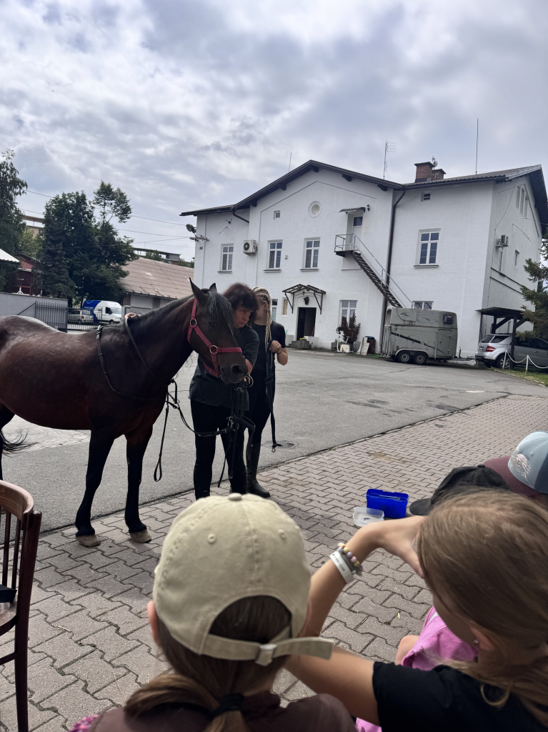 IMG_4061.jpeg