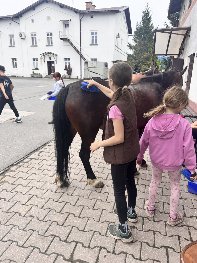 IMG_4260.jpeg