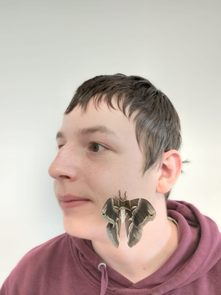 portrét s motýlem  (7).jpeg