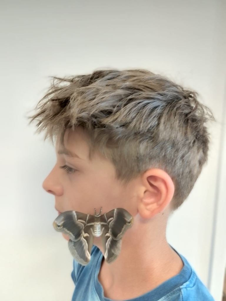 portrét s motýlem  (10).jpeg