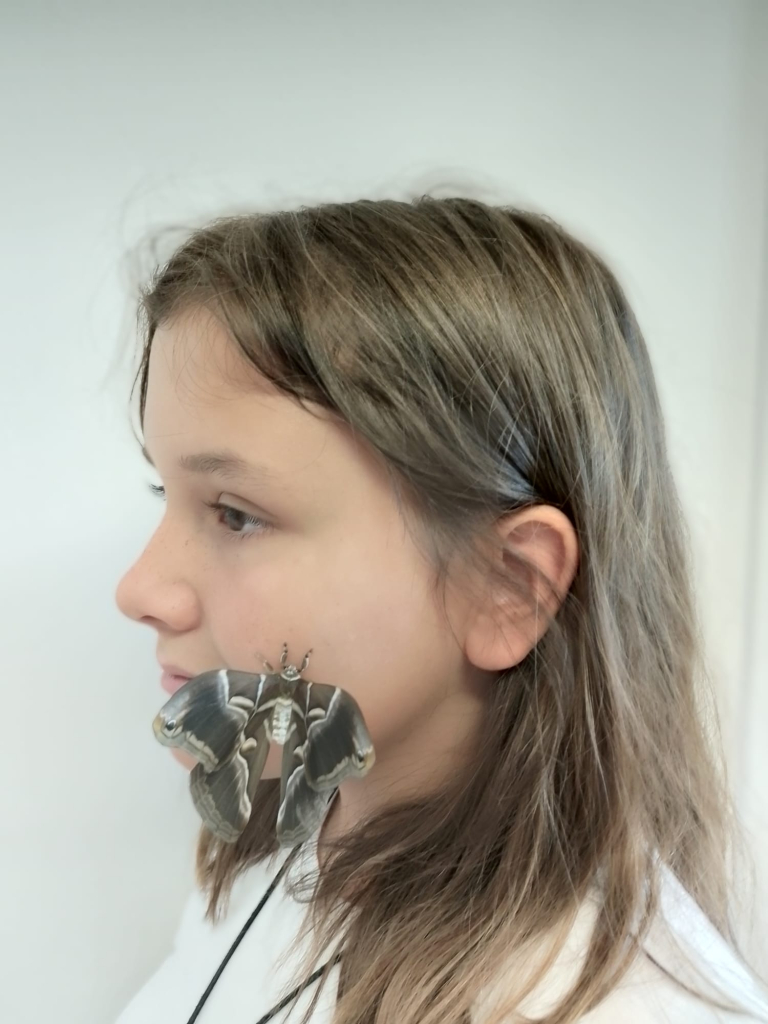 portrét s motýlem  (12).jpeg