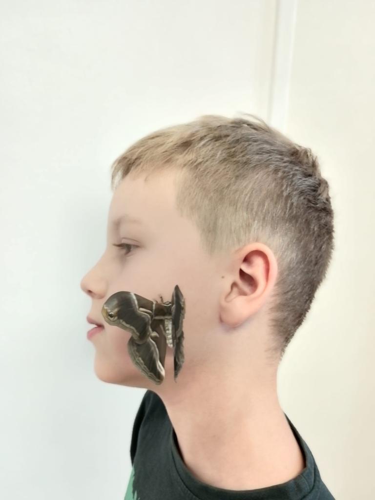 portrét s motýlem  (16).jpeg