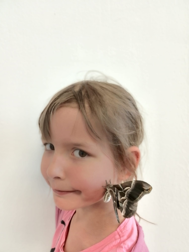portrét s motýlem  (23).jpeg