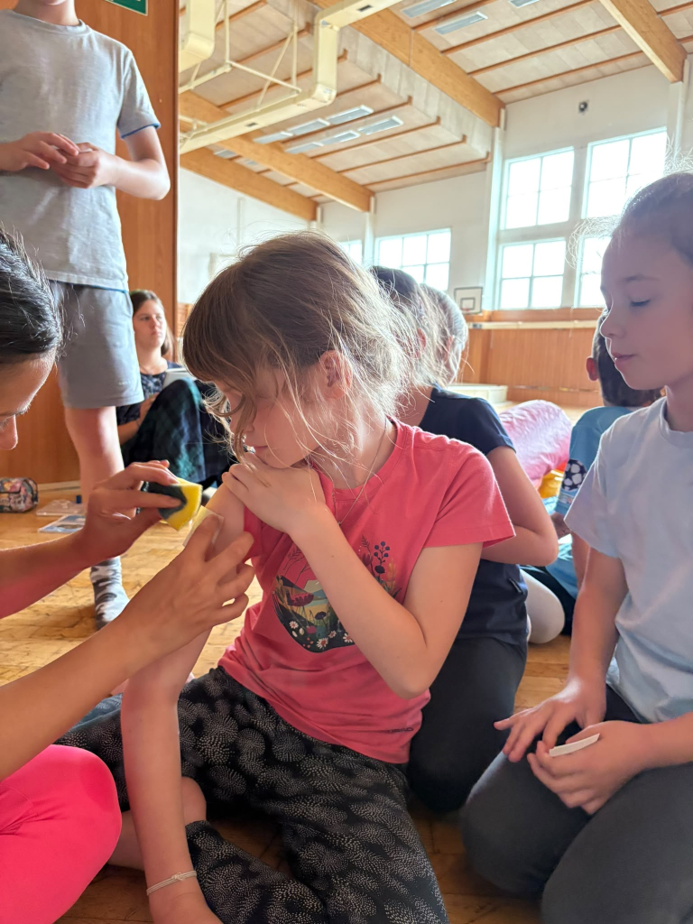 09a00880-916b-464b-8e2e-123d345aa279.jpeg