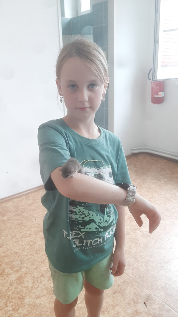 pátek  (11).jpg