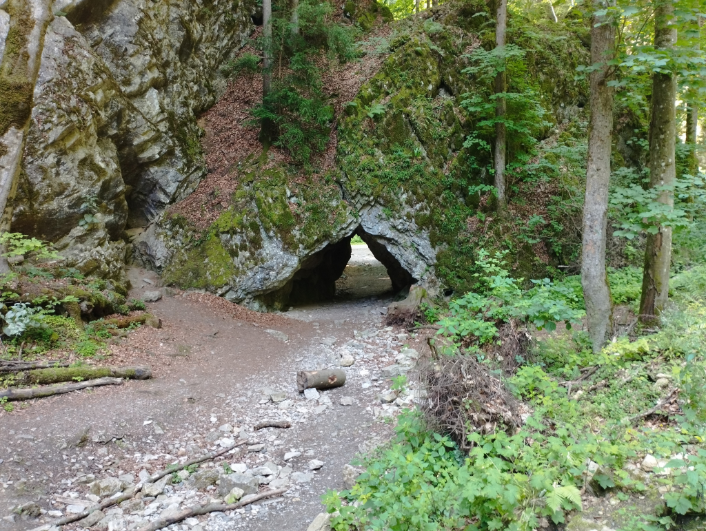 Punkevní jeskyně, 26.7 (6).jpg