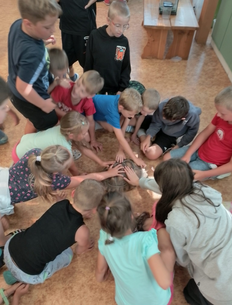 pondělí  (3).jpeg