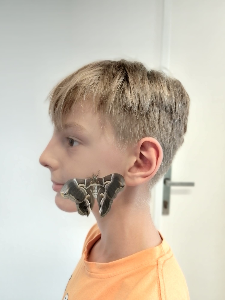 1000066341.jpg
