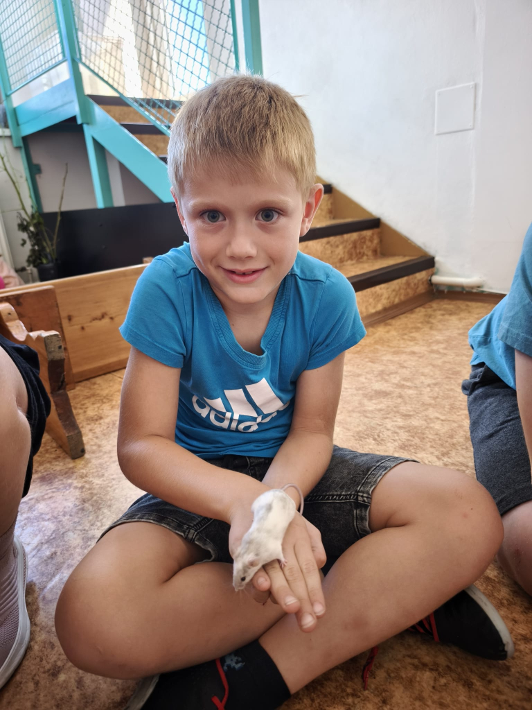 WhatsApp Image 2026-08-12 at 21.36.14 (4).jpeg