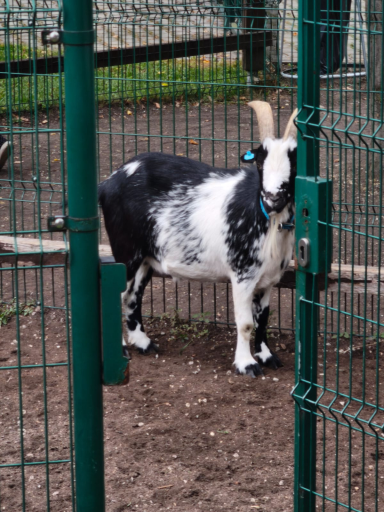 CESTA Z MĚSTA 03 STŘEDA (19).jpeg