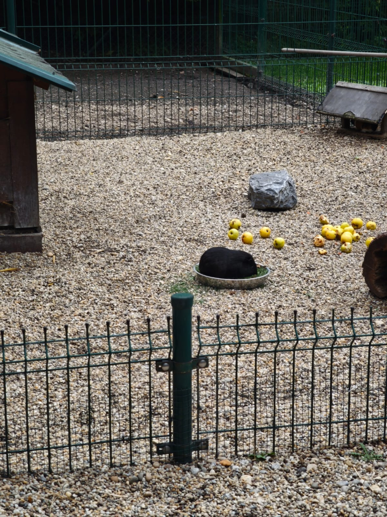 CESTA Z MĚSTA 03 STŘEDA (22).jpeg