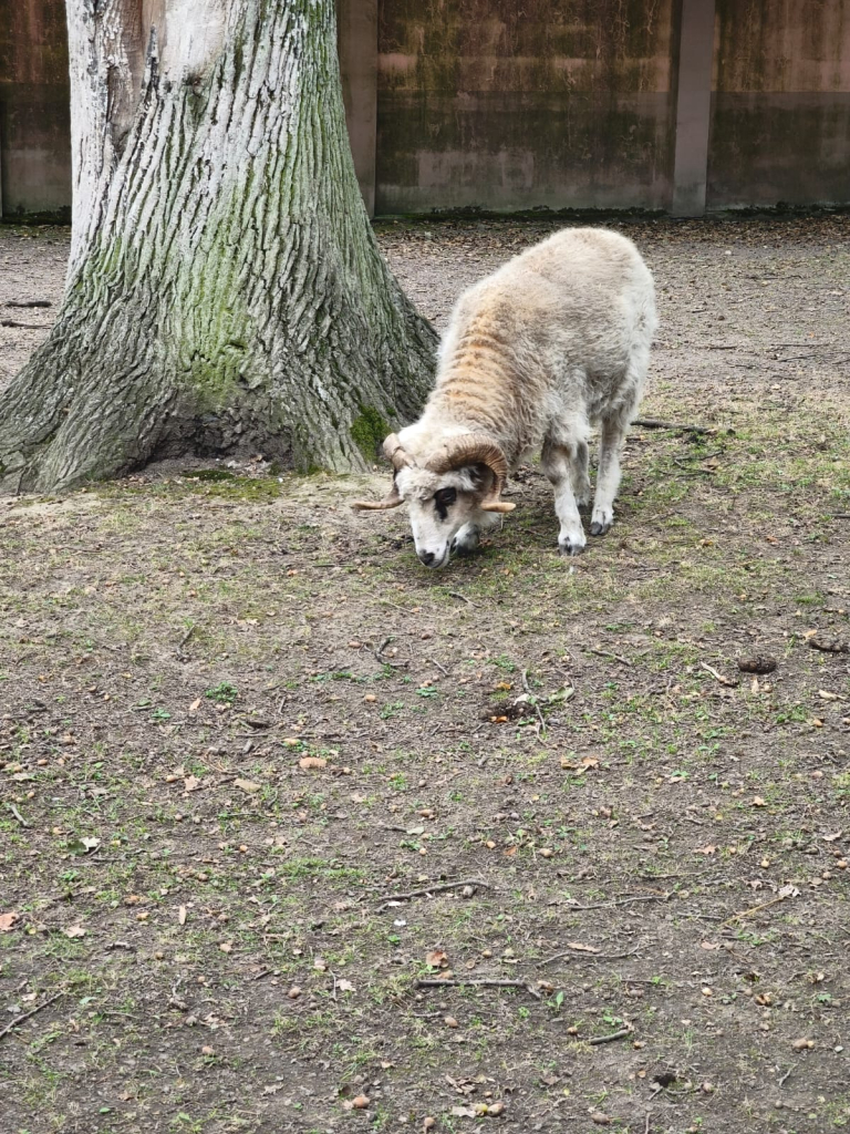 CESTA Z MĚSTA 03 STŘEDA (24).jpeg