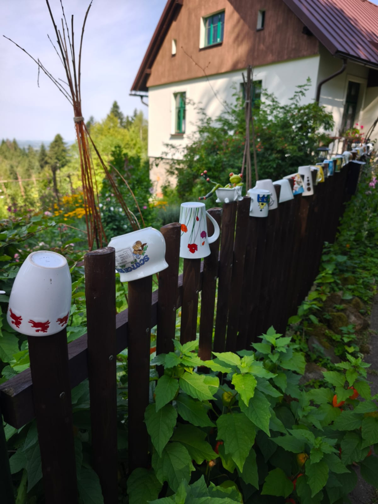 PT 19 CESTA Z MĚSTA 05 pátek (5).jpeg