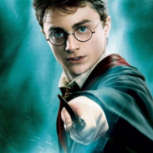 PT 8 - Harry Potter (bez dot.)