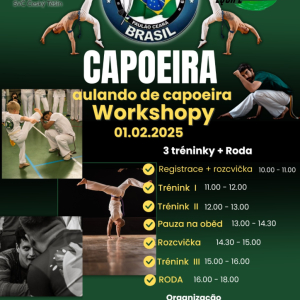 Workshop Capoeiry