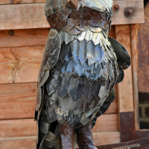 sova - kovo zoo.JPG