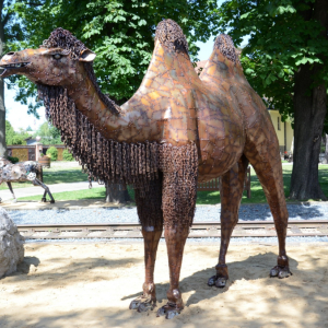 velbloud - kovo zoo.JPG