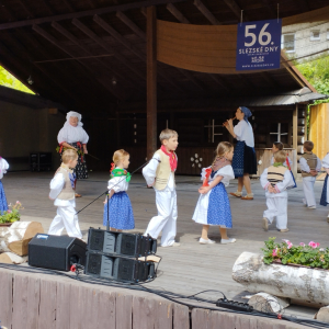 IMG_20250524_145226.jpg