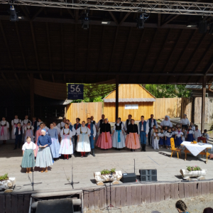IMG_20250524_153408.jpg