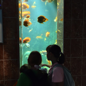 3d149c47-58d6-4be3-9045-59cc1f45c221.jpeg