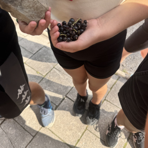 IMG_9070.jpeg