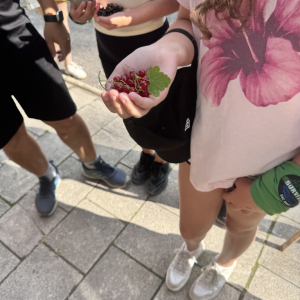 IMG_9068.jpeg
