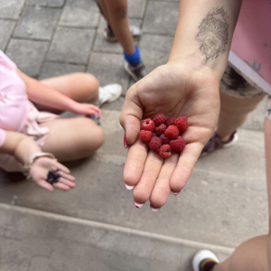IMG_9052.jpeg