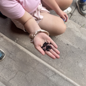 IMG_9053.jpeg