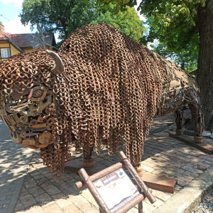 IMG_20250713_125554.jpg