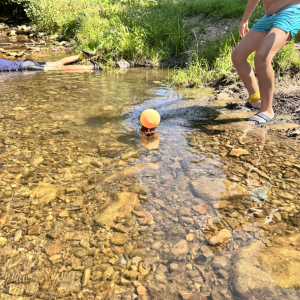 IMG_0670.jpeg
