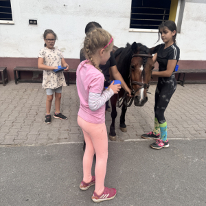 IMG_0941.jpeg