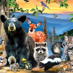 PT 16 - Máme rádi zvířata