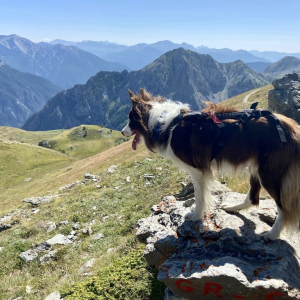 Výlet na hory - chata Studeničné