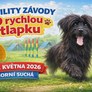 Agility závody - O rychlou tlapku